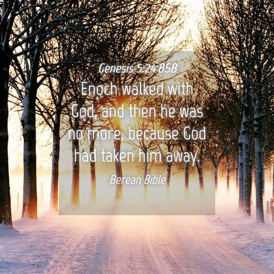 Picture 04 - Genesis 5:24 BSB - Enoch walked with God, and then he was no more, - Bible Verse Picture