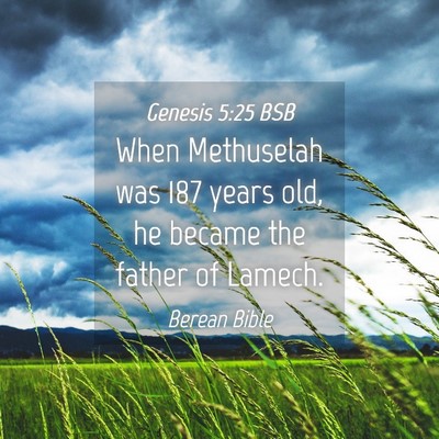 Picture 04 - Genesis 5:25 BSB - When Methuselah was 187 years old, he became the - Bible Verse Picture