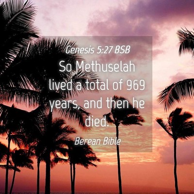 Picture 04 - Genesis 5:27 BSB - So Methuselah lived a total of 969 years, and - Bible Verse Picture
