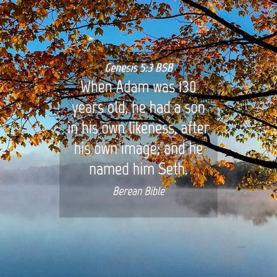 Picture 04 - Genesis 5:3 BSB - When Adam was 130 years old, he had a son in his - Bible Verse Picture