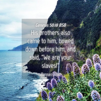 Picture 04 - Genesis 50:18 BSB - His brothers also came to him, bowed down before - Bible Verse Picture