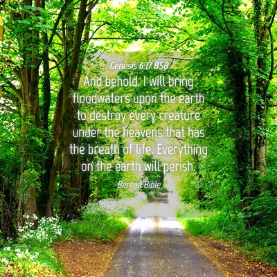 Picture 04 - Genesis 6:17 BSB - And behold, I will bring floodwaters upon the - Bible Verse Picture