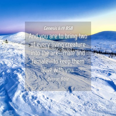Picture 04 - Genesis 6:19 BSB - And you are to bring two of every living creature - Bible Verse Picture