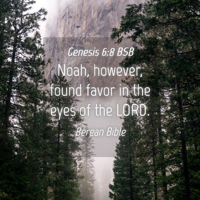 Picture 04 - Genesis 6:8 BSB - Noah, however, found favor in the eyes of the - Bible Verse Picture