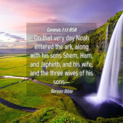 Picture 04 - Genesis 7:13 BSB - On that very day Noah entered the ark, along with - Bible Verse Picture