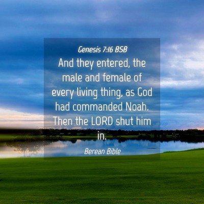 Picture 04 - Genesis 7:16 BSB - And they entered, the male and female of every - Bible Verse Picture