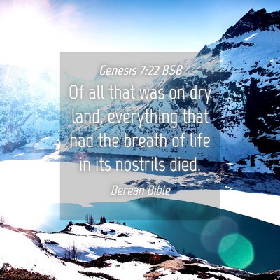 Picture 04 - Genesis 7:22 BSB - Of all that was on dry land, everything that had - Bible Verse Picture