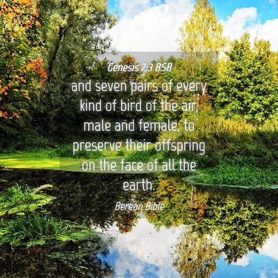 Picture 04 - Genesis 7:3 BSB - and seven pairs of every kind of bird of the air, - Bible Verse Picture