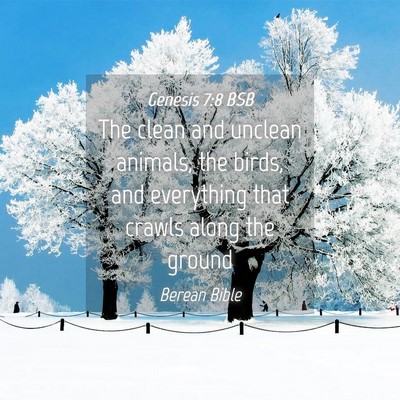 Picture 04 - Genesis 7:8 BSB - The clean and unclean animals, the birds, and - Bible Verse Picture
