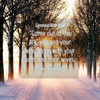 Picture 04 - Genesis 8:16 BSB - “Come out of the ark, you and your wife, along - Bible Verse Picture
