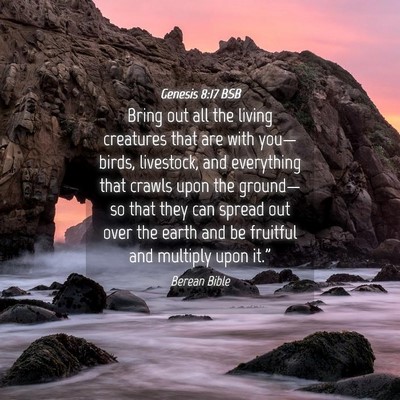 Picture 04 - Genesis 8:17 BSB - Bring out all the living creatures that are with - Bible Verse Picture