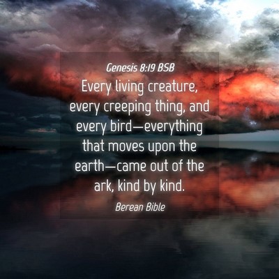 Picture 04 - Genesis 8:19 BSB - Every living creature, every creeping thing, and - Bible Verse Picture