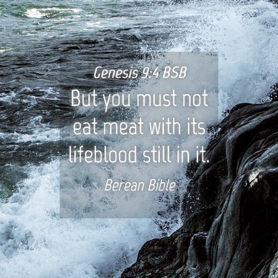Picture 04 - Genesis 9:4 BSB - But you must not eat meat with its lifeblood - Bible Verse Picture