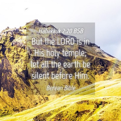 Picture 04 - Habakkuk 2:20 BSB - But the LORD is in His holy temple; let all the - Bible Verse Picture