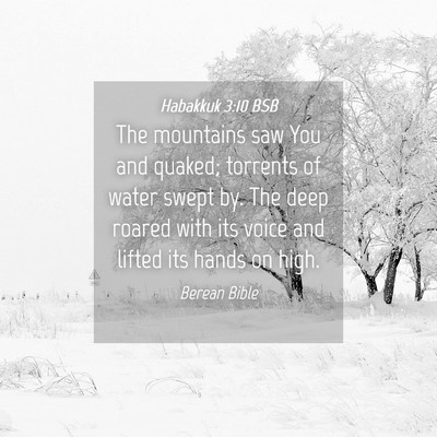Picture 04 - Habakkuk 3:10 BSB - The mountains saw You and quaked; torrents of - Bible Verse Picture