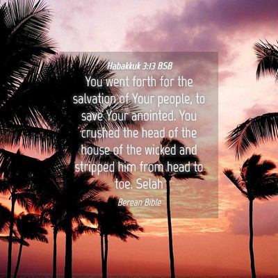 Picture 04 - Habakkuk 3:13 BSB - You went forth for the salvation of Your people, - Bible Verse Picture