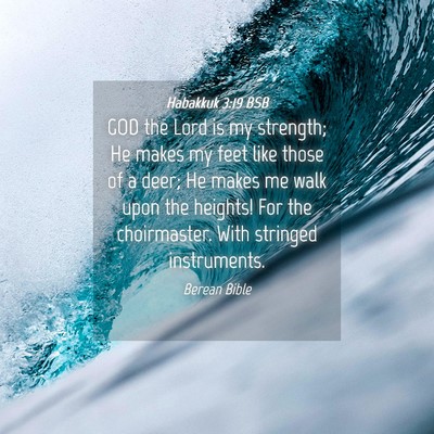 Picture 04 - Habakkuk 3:19 BSB - GOD the Lord is my strength; He makes my feet - Bible Verse Picture