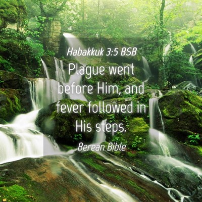 Picture 04 - Habakkuk 3:5 BSB - Plague went before Him, and fever followed in His - Bible Verse Picture