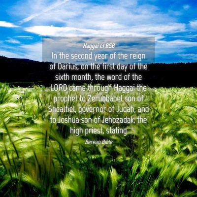 Picture 04 - Haggai 1:1 BSB - In the second year of the reign of Darius, on the - Bible Verse Picture