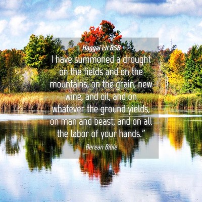 Picture 04 - Haggai 1:11 BSB - I have summoned a drought on the fields and on - Bible Verse Picture