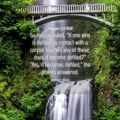 Picture 04 - Haggai 2:13 BSB - So Haggai asked, “If one who is defiled by - Bible Verse Picture