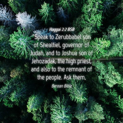 Picture 04 - Haggai 2:2 BSB - “Speak to Zerubbabel son of Shealtiel, governor - Bible Verse Picture