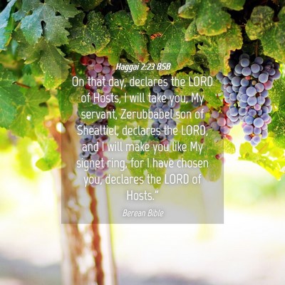 Picture 04 - Haggai 2:23 BSB - On that day, declares the LORD of Hosts, I will - Bible Verse Picture