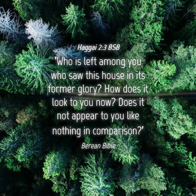 Picture 04 - Haggai 2:3 BSB - ‘Who is left among you who saw this house in - Bible Verse Picture