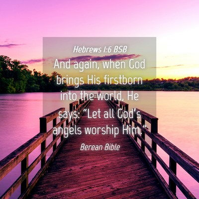 Picture 04 - Hebrews 1:6 BSB - And again, when God brings His firstborn into the - Bible Verse Picture