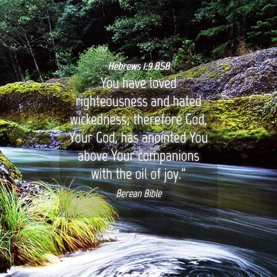Picture 04 - Hebrews 1:9 BSB - You have loved righteousness and hated - Bible Verse Picture