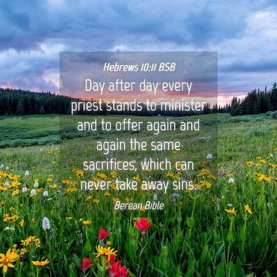 Picture 04 - Hebrews 10:11 BSB - Day after day every priest stands to minister and - Bible Verse Picture