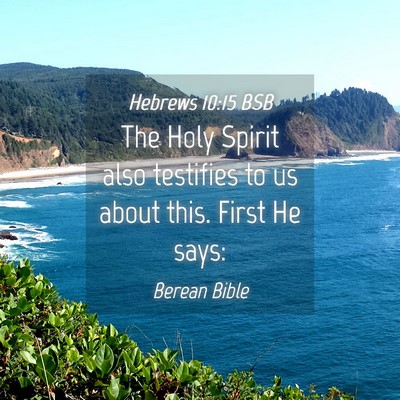 Picture 04 - Hebrews 10:15 BSB - The Holy Spirit also testifies to us about this. - Bible Verse Picture
