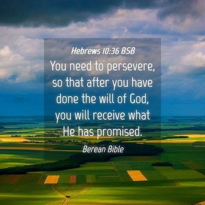 Picture 04 - Hebrews 10:36 BSB - You need to persevere, so that after you have - Bible Verse Picture