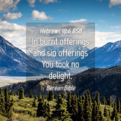 Picture 04 - Hebrews 10:6 BSB - In burnt offerings and sin offerings You took no - Bible Verse Picture