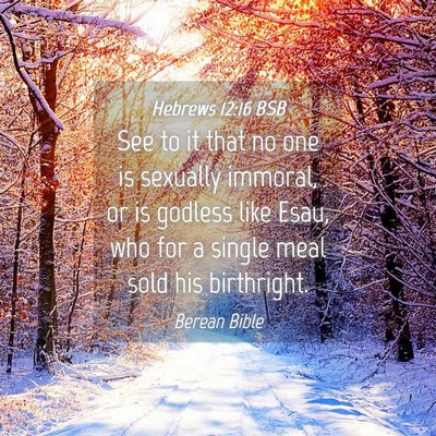 Picture 04 - Hebrews 12:16 BSB - See to it that no one is sexually immoral, or is - Bible Verse Picture