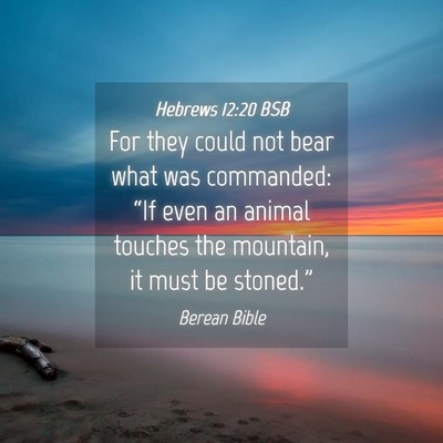 Picture 04 - Hebrews 12:20 BSB - For they could not bear what was commanded: “If - Bible Verse Picture