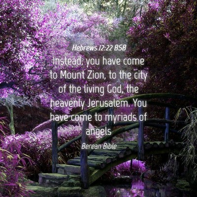 Picture 04 - Hebrews 12:22 BSB - Instead, you have come to Mount Zion, to the city - Bible Verse Picture