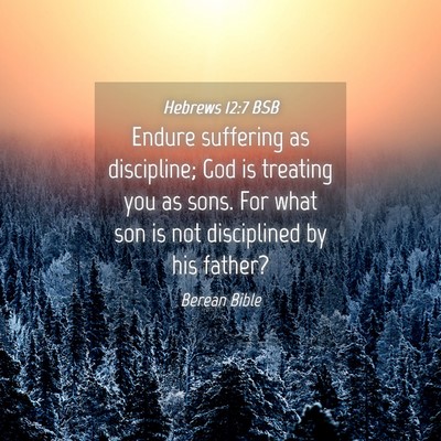 Picture 04 - Hebrews 12:7 BSB - Endure suffering as discipline; God is treating - Bible Verse Picture