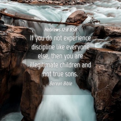 Picture 04 - Hebrews 12:8 BSB - If you do not experience discipline like everyone - Bible Verse Picture