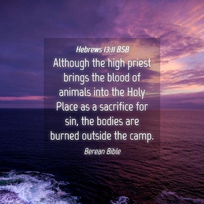 Picture 04 - Hebrews 13:11 BSB - Although the high priest brings the blood of - Bible Verse Picture