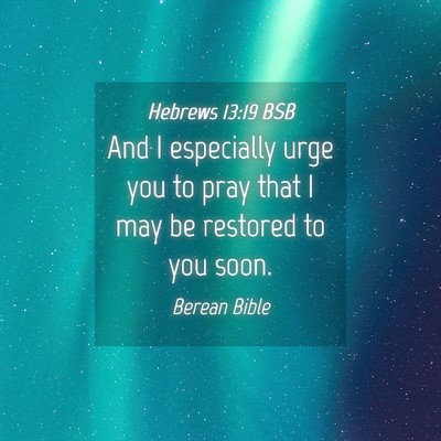 Picture 04 - Hebrews 13:19 BSB - And I especially urge you to pray that I may be - Bible Verse Picture
