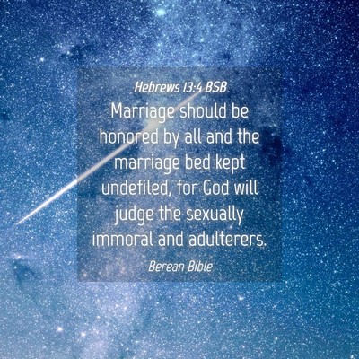 Picture 04 - Hebrews 13:4 BSB - Marriage should be honored by all and the - Bible Verse Picture