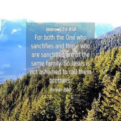 Picture 04 - Hebrews 2:11 BSB - For both the One who sanctifies and those who are - Bible Verse Picture