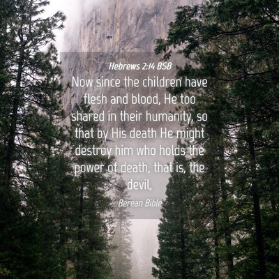 Picture 04 - Hebrews 2:14 BSB - Now since the children have flesh and blood, He - Bible Verse Picture