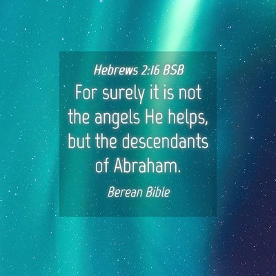 Picture 04 - Hebrews 2:16 BSB - For surely it is not the angels He helps, but the - Bible Verse Picture
