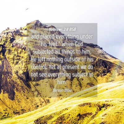 Picture 04 - Hebrews 2:8 BSB - and placed everything under his feet.” When God - Bible Verse Picture
