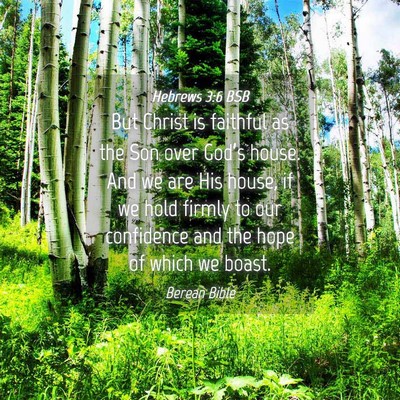 Picture 04 - Hebrews 3:6 BSB - But Christ is faithful as the Son over God’s - Bible Verse Picture