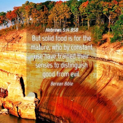 Picture 04 - Hebrews 5:14 BSB - But solid food is for the mature, who by constant - Bible Verse Picture