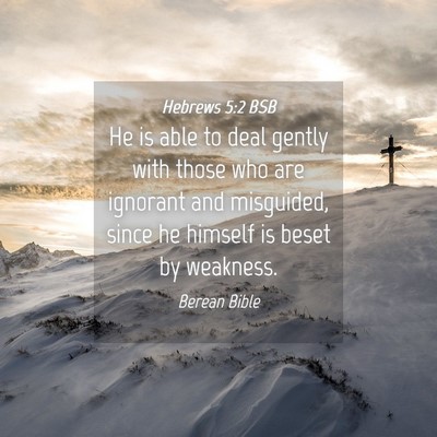 Picture 04 - Hebrews 5:2 BSB - He is able to deal gently with those who are - Bible Verse Picture