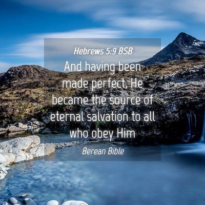 Picture 04 - Hebrews 5:9 BSB - And having been made perfect, He became the - Bible Verse Picture